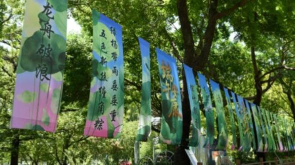 文章模仿向佐动作
