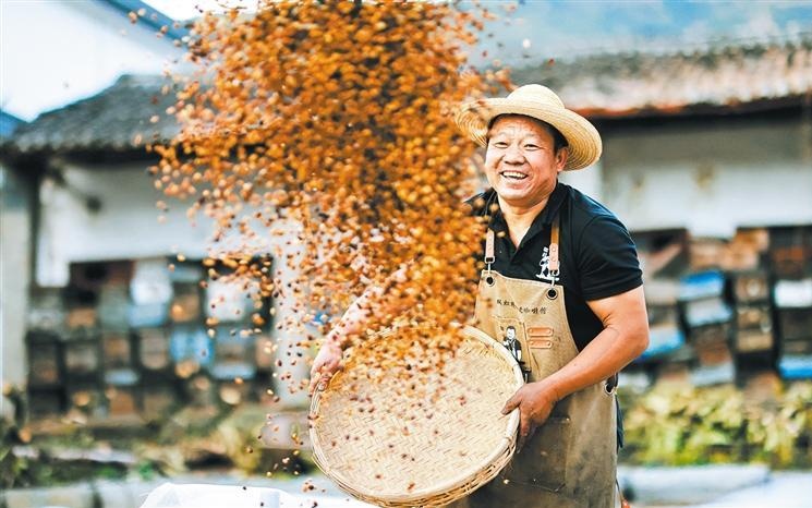 郑钦文身体欠佳已尽全力