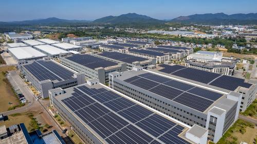 全球首艘漂浮式动力定位养殖平台“湛江湾1号”顺利迎来首次捕捞