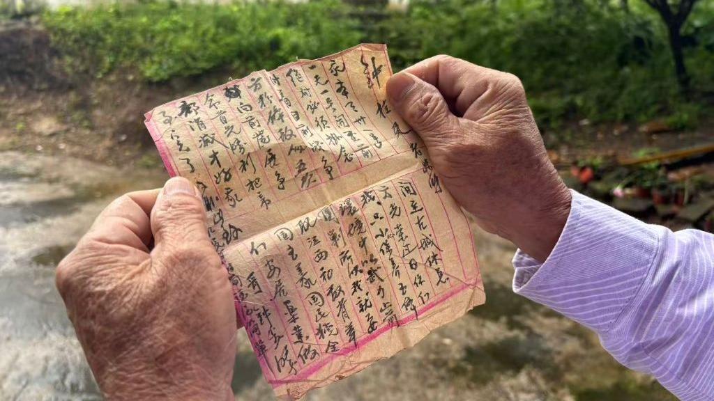 免费在线观看