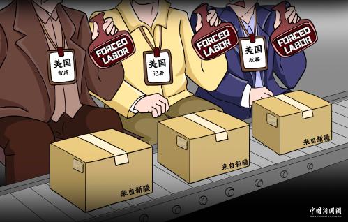 樊振东全锦赛适应场地训练