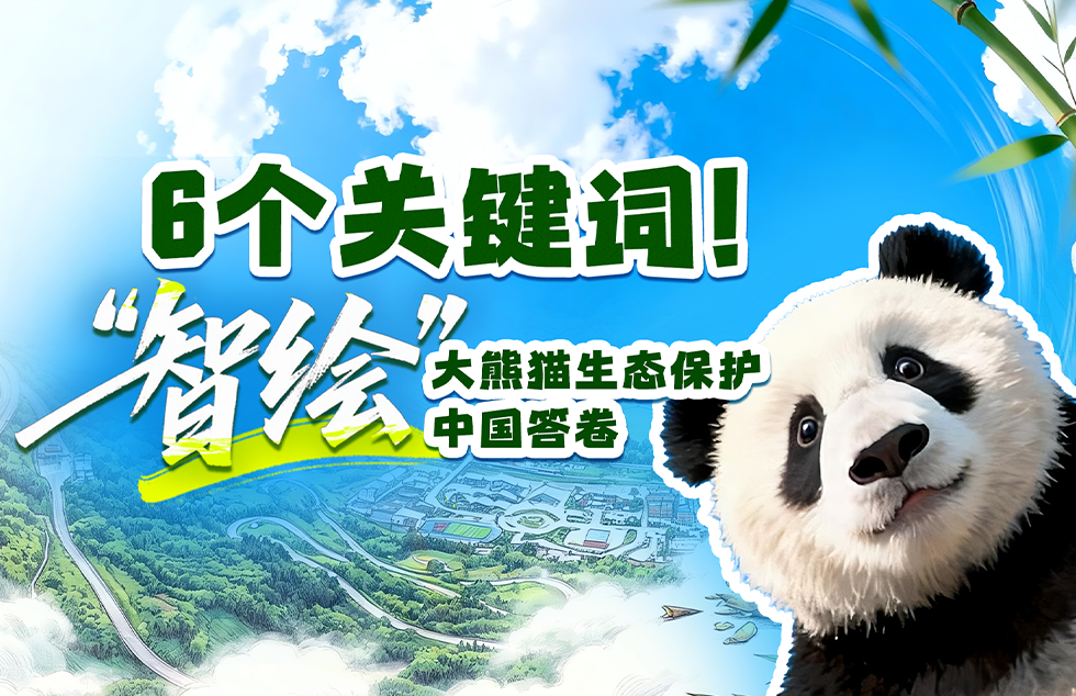持续开展多领域实试验 神舟二十三号乘组在轨动态更新